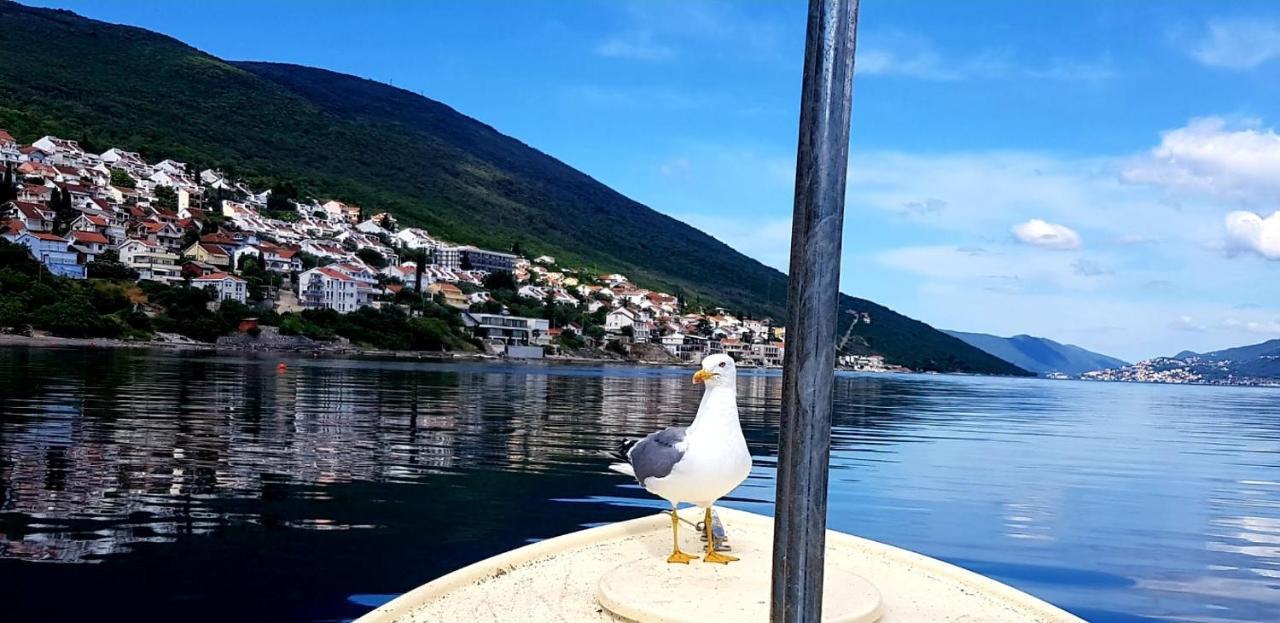 Apartments Obradovic Krasići エクステリア 写真