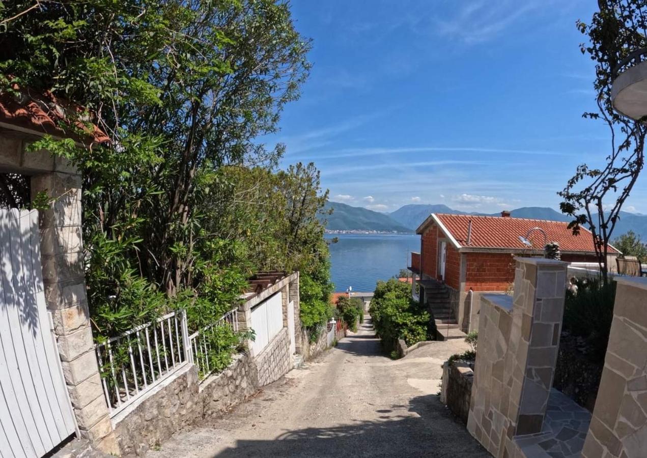 Apartments Obradovic Krasići エクステリア 写真