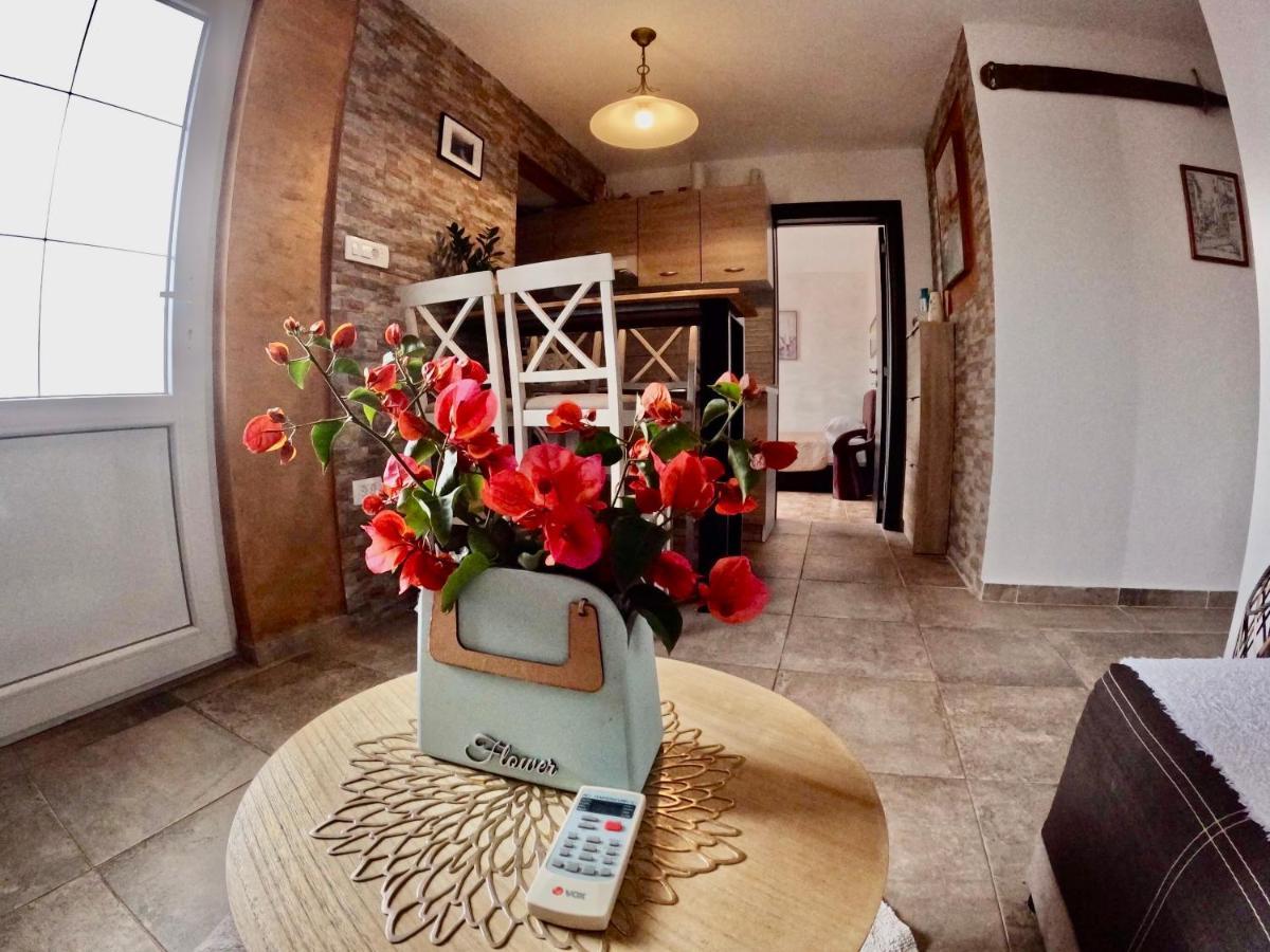 Apartments Obradovic Krasići エクステリア 写真