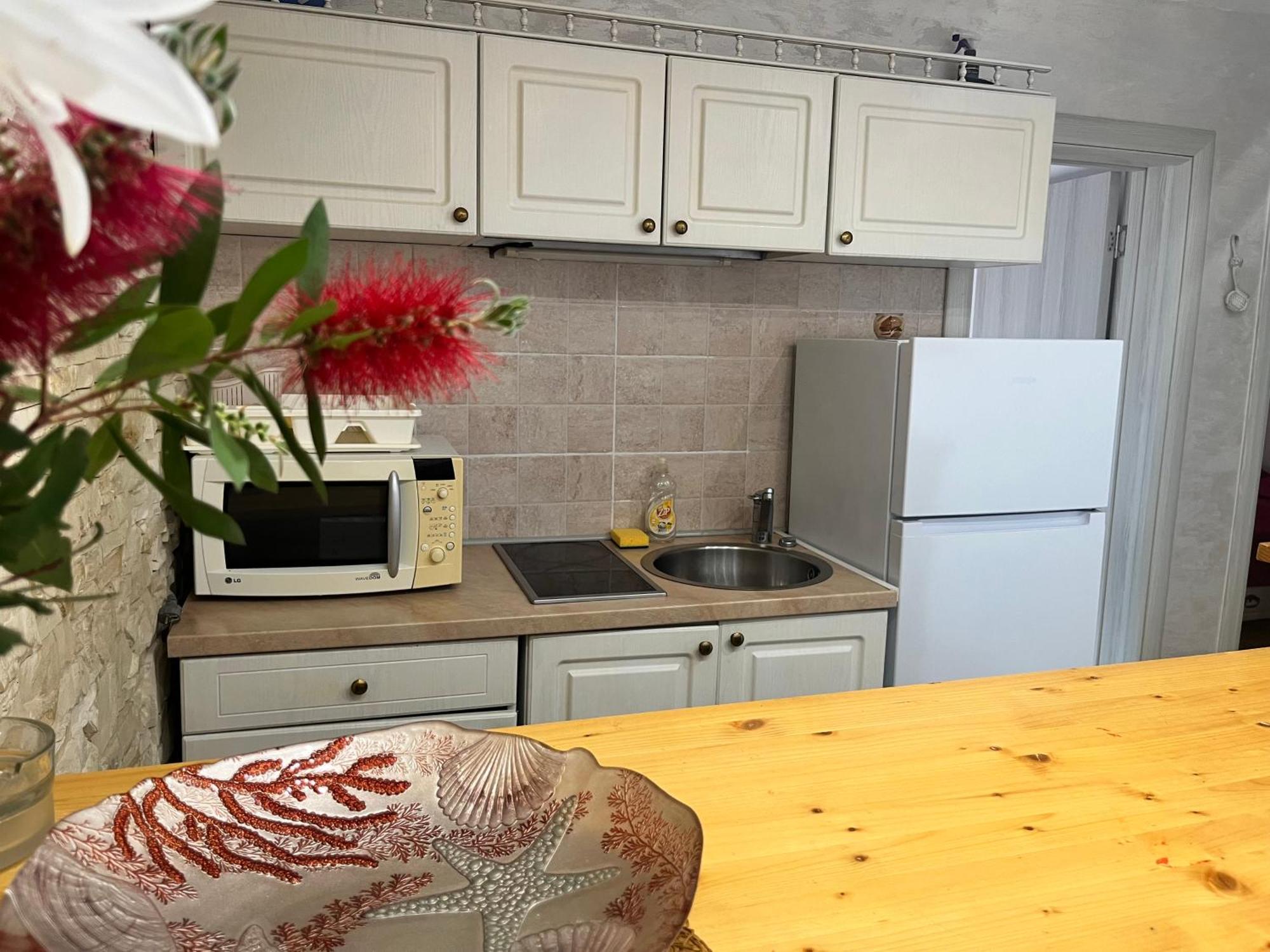 Apartments Obradovic Krasići エクステリア 写真